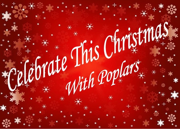 Celebrate Christmas (600x431)