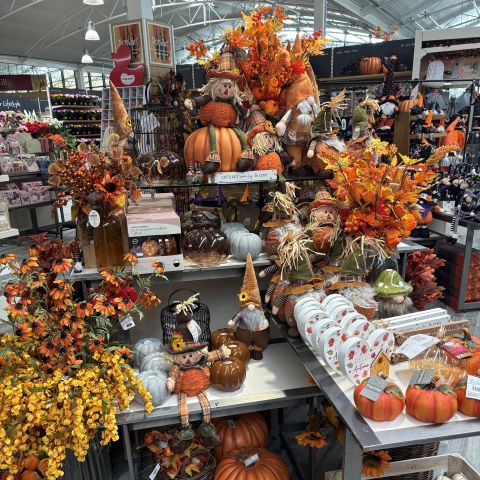 Autumn Displays