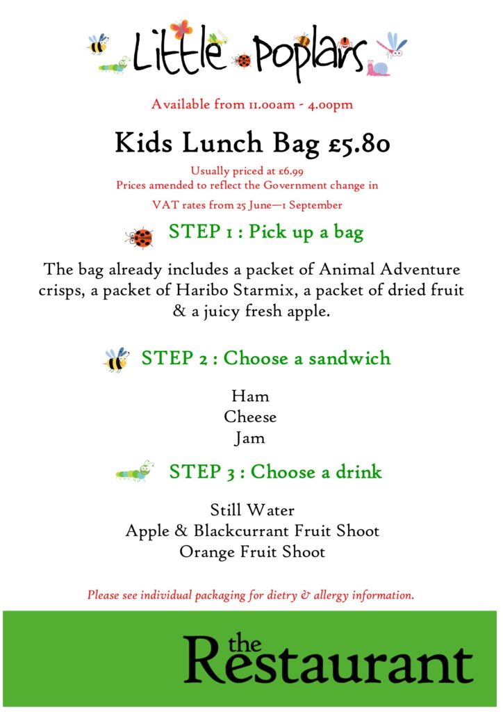 Kids Lunch Bag 2
